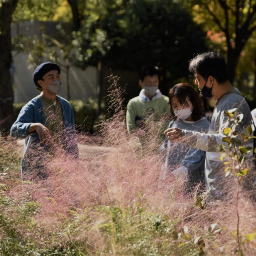 グリーンコモンズ