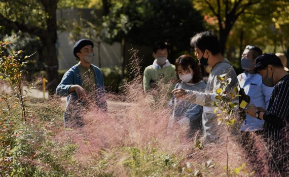 グリーンコモンズ