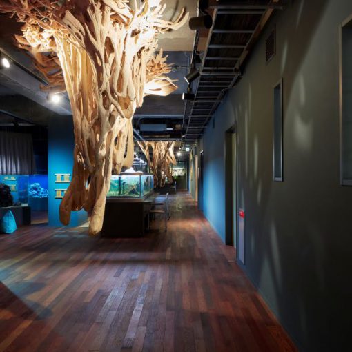 水族館の設計事例