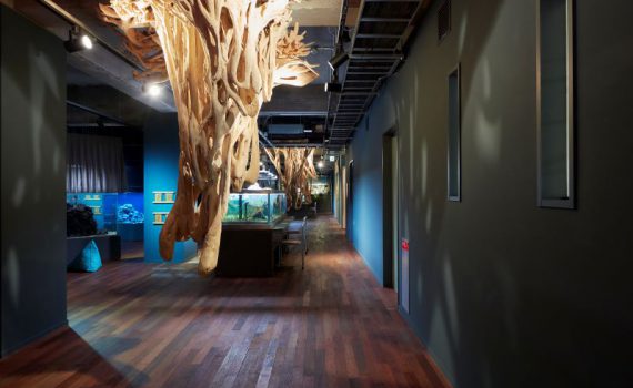 水族館の設計事例