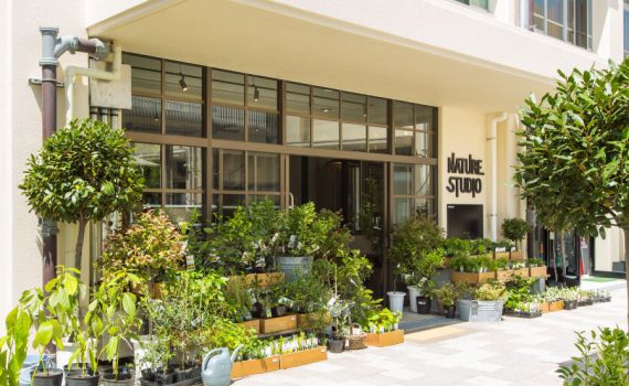 ハーブショップ外観